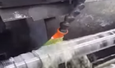 The case of  process carbide HVOF coated cylindrical external grinding 