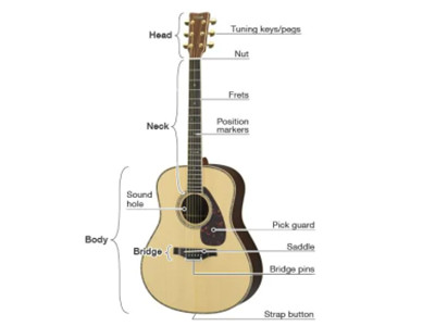 compnents of guitar